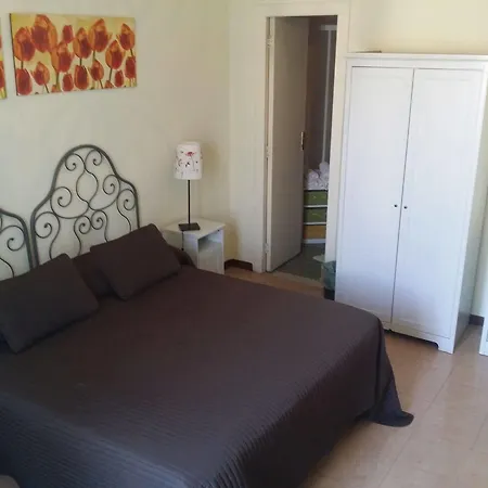 Delfina 4*